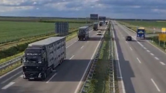 Poćeo izvoz jagnjadi u Libiju